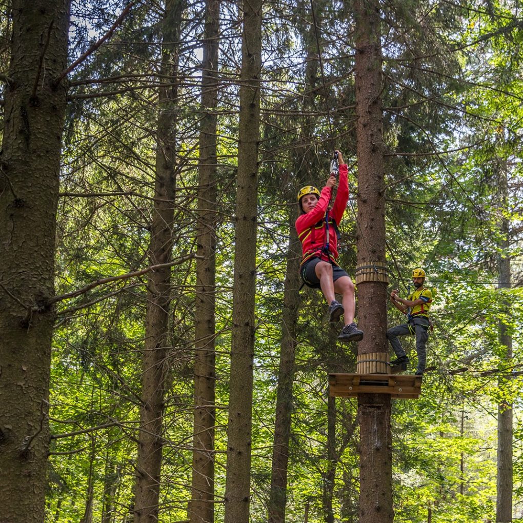 Emozionante teleferica sospesa tra gli alberi al parco avventura di Civenna