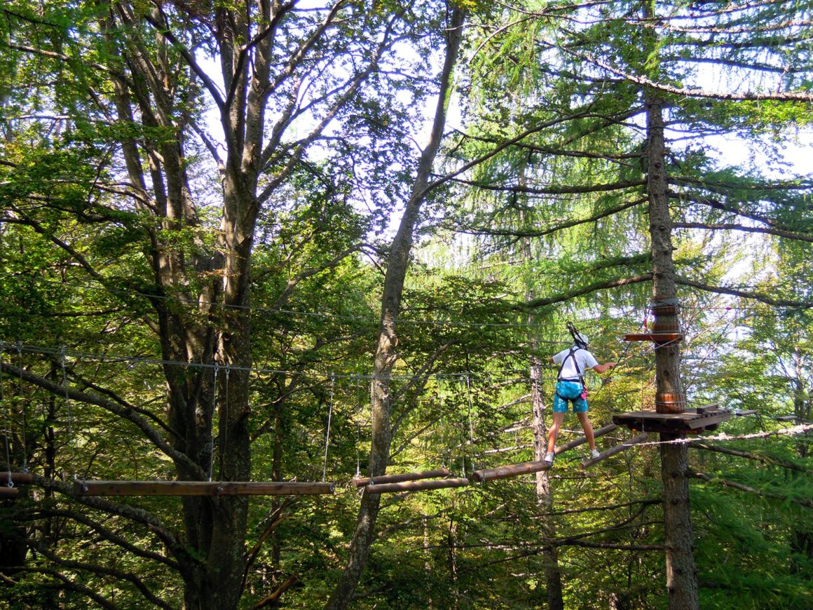 Ponte con tronchi nel percorso per famiglie del parco avventura a Margno