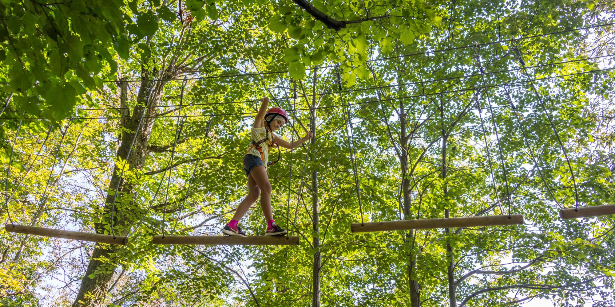 Divertenti percorsi sugli alberi al bosco park