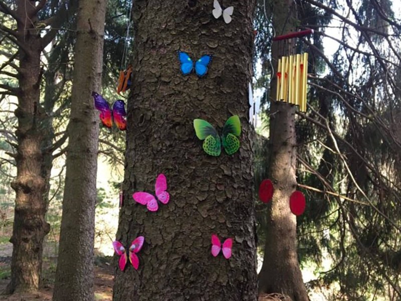 Magia, avventure e giochi nel bosco per bambini