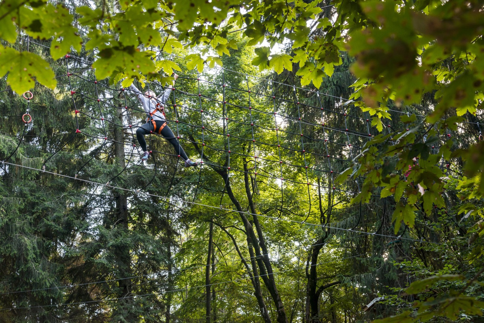 Percorso avventuroso tra gli alberi al Jungle Raider Park