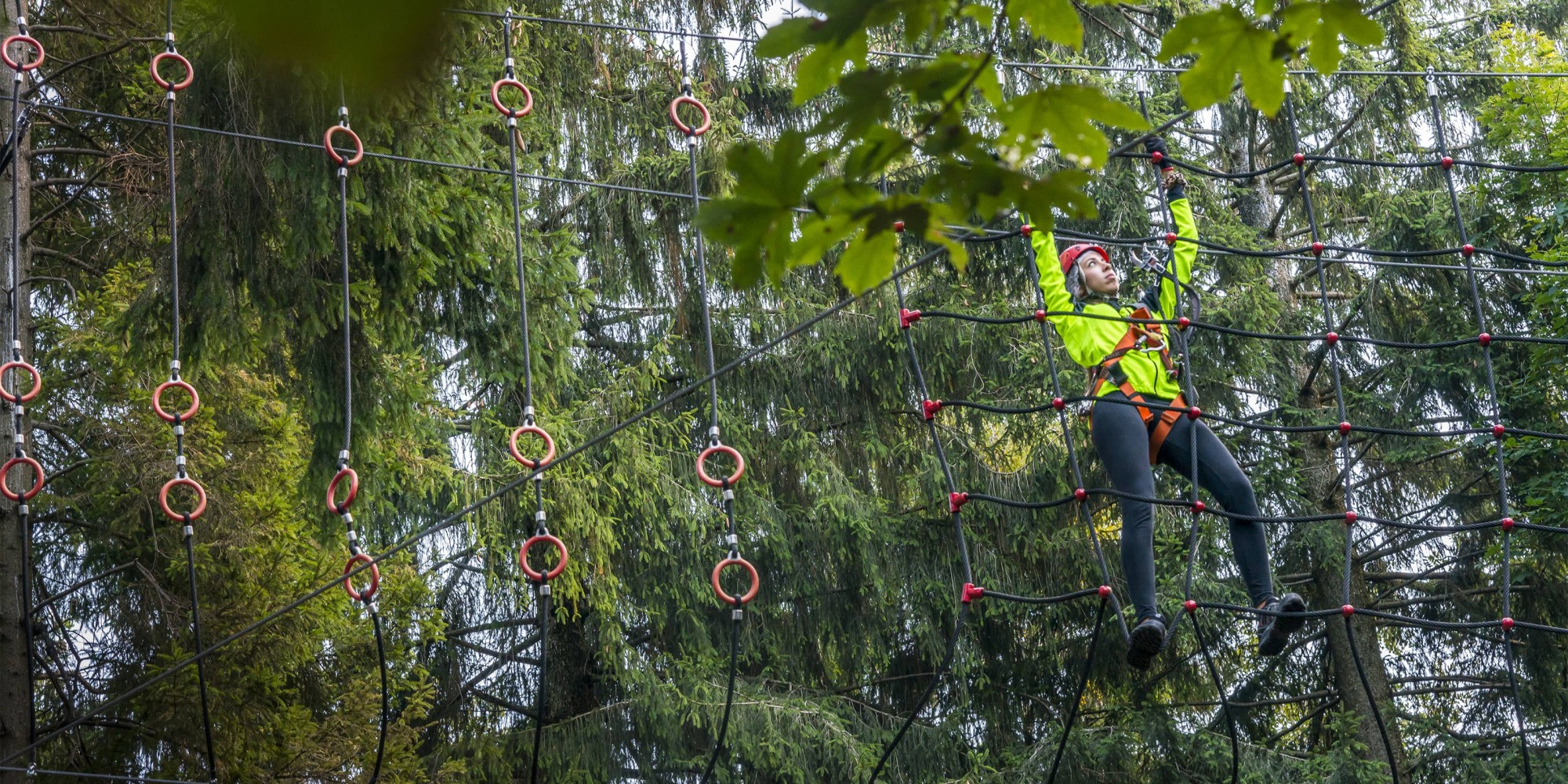 Avventurosi percorsi tra gli alberi al parco avventura di Civenna